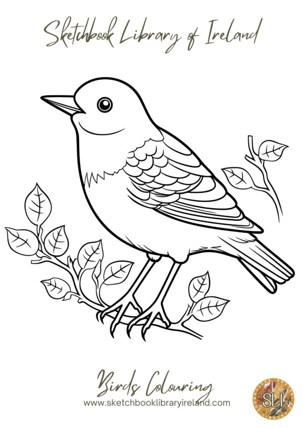 SLI - Birds Colouring Pages