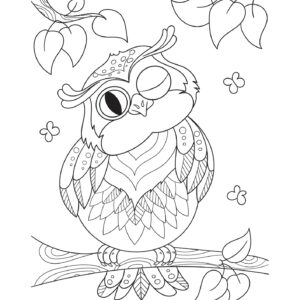 SLI Owls Colouring Pages