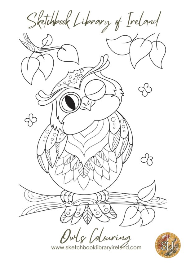SLI Owls Colouring Pages